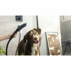 Hansgrohe Pink Dogs Hand Shower 150 3jet Select 14 Hansgrohe Pink Dogs Hand Shower 150 3jet Select -TAPS UK Sales hansgrohe pink dogs hand shower 150 3jet select p49592 231328 image