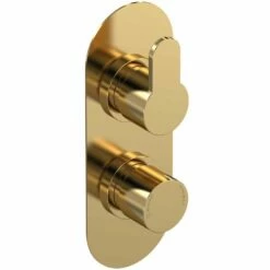 Nuie Arvan Brushed Brass Twin Thermostatic Shower Valve With Diverter - ARV8TW02