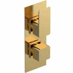Nuie Windon Brushed Brass Twin Thermostatic Shower Valve - WIN8TW01